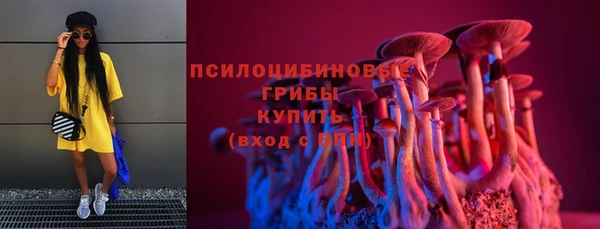 мяу мяу кристалл Алексин