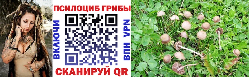 Псилоцибиновые грибы Magic Shrooms  Купить закладки  Иркутск 